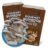 Gourmet Mushroom Grow Kit - King Oyster – Pleurotus eryngii