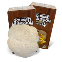 Gourmet Mushroom Grow Kit - Australian Lions Mane (Hericium Coralloide)