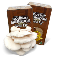 Mushroom Kit – White Oyster (Pleurotus Ostreatus)