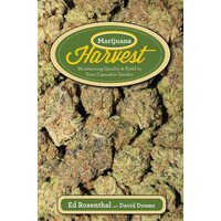Marijuana Harvest By Ed Rosenthal