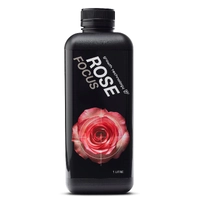 GT Rose Focus - Promote Magnificent Blooms