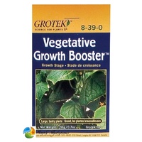 Grotek | Vegetative Growth Booster | 20gm 