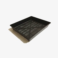 Standard Seedling Tray 360x300x60
