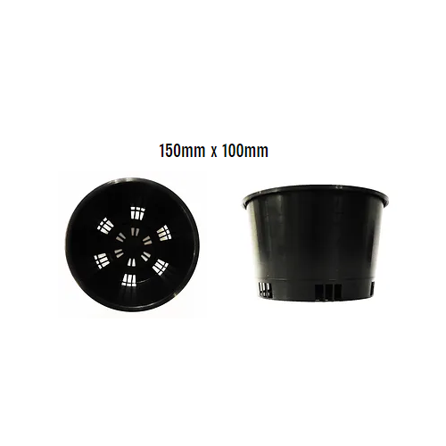 Orchid Pot Co. Mesh Pot 150mm Dia. x 100mm 