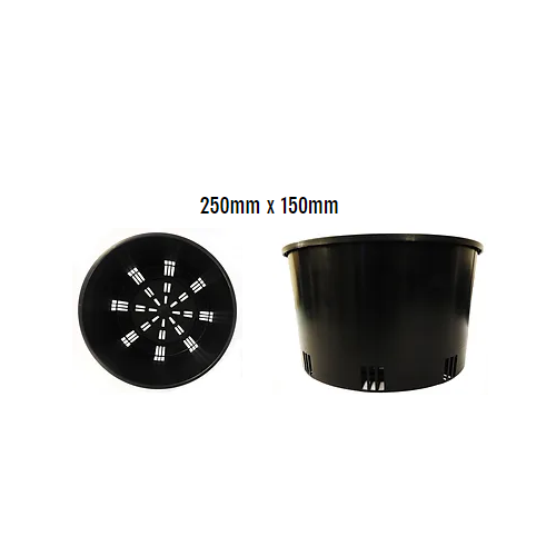 Orchid Pot Co. Mesh Pot 250mm Dia. x 150mm