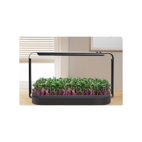 Home Microgreens Grow Kit