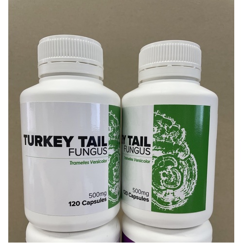 Turkey Tail Fungus 500mg | Wholefood Powder Capsules