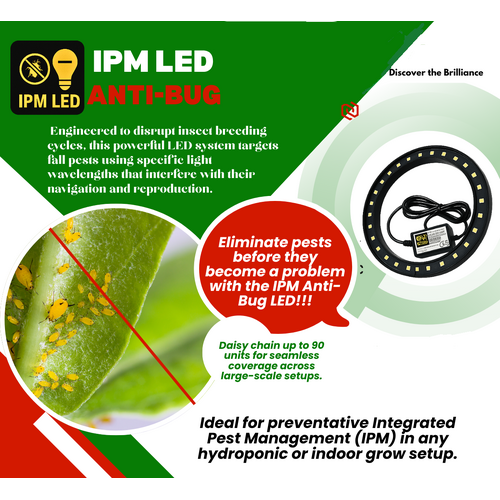 Anti-Bug IPM LED