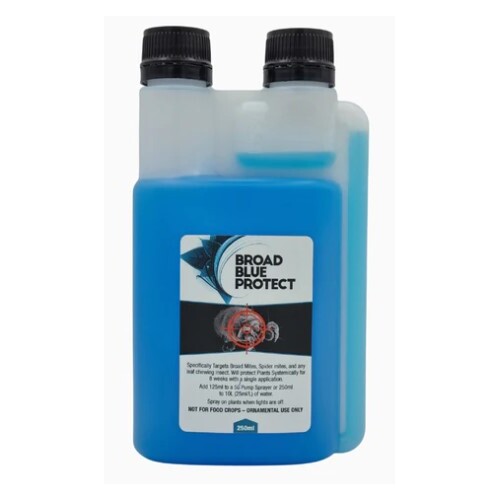 Broad Blue Protect 250ml Concentrate