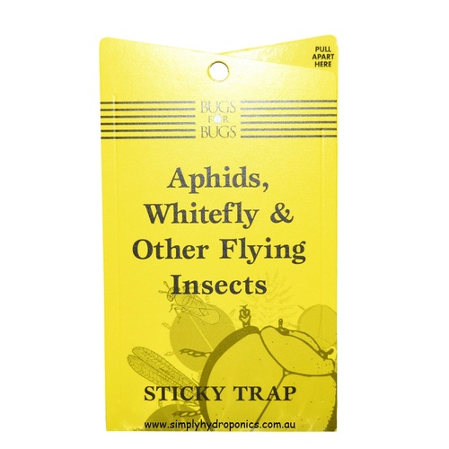 Bugs for Bugs Sticky Traps - Single Pack