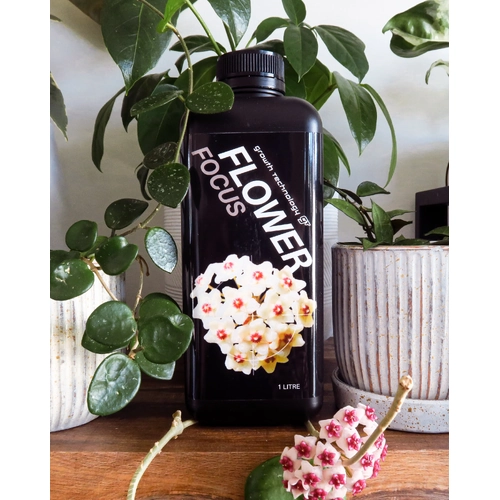 GT Flower Focus - Increased Flower Production [Size: 1l]