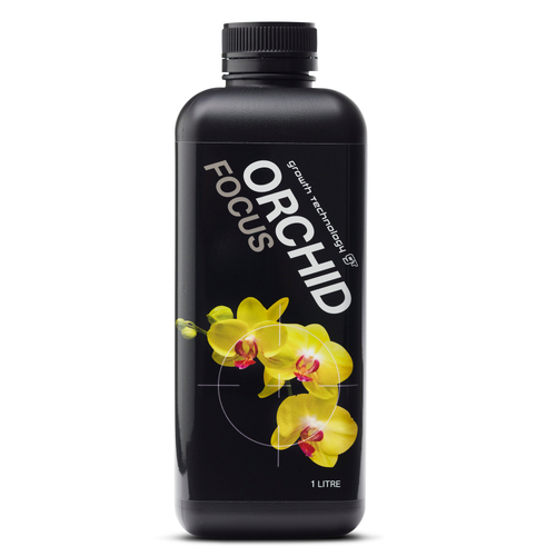 GT Orchid Focus 1l