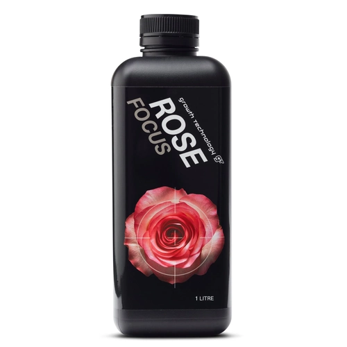 GT Rose Focus -  [Size: 1l] - Promote Magnificent Blooms