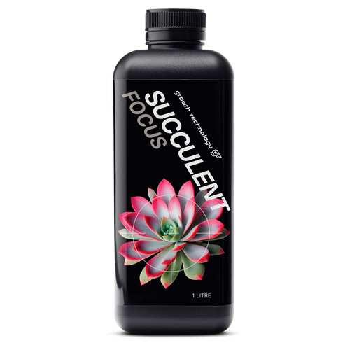 GT Succulent Focus 1l