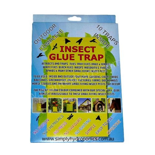 Insect Glue Traps | 10 per pack | Double Sided