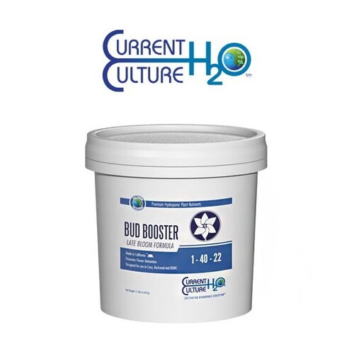 Current Culture | Bud Booster Late | 680gm